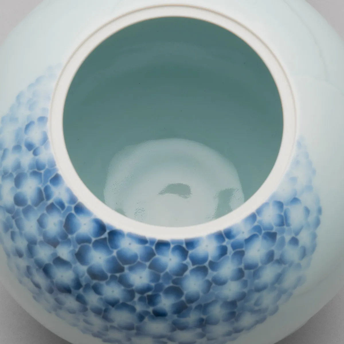 でんでん虫さんどこいくの？