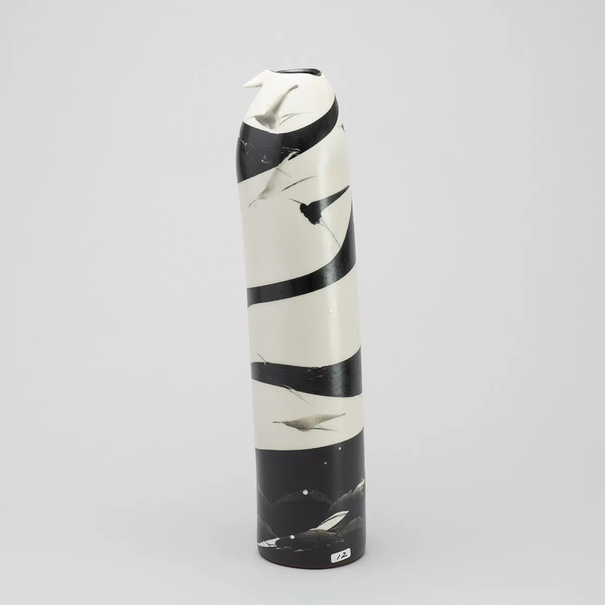 鳥の自然誌―風