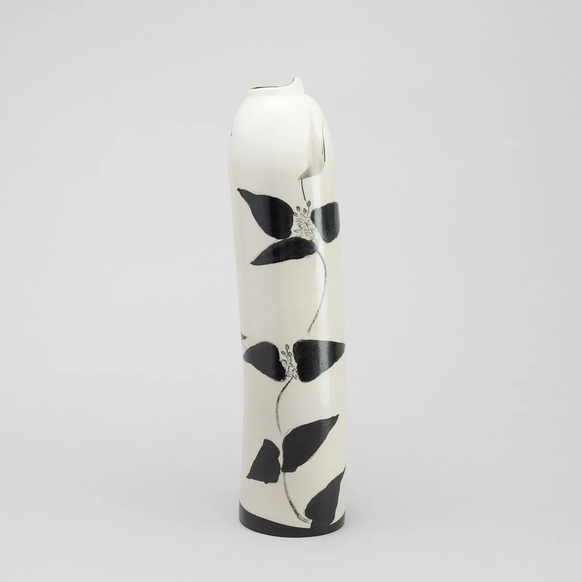 鳥の自然誌―蔓花