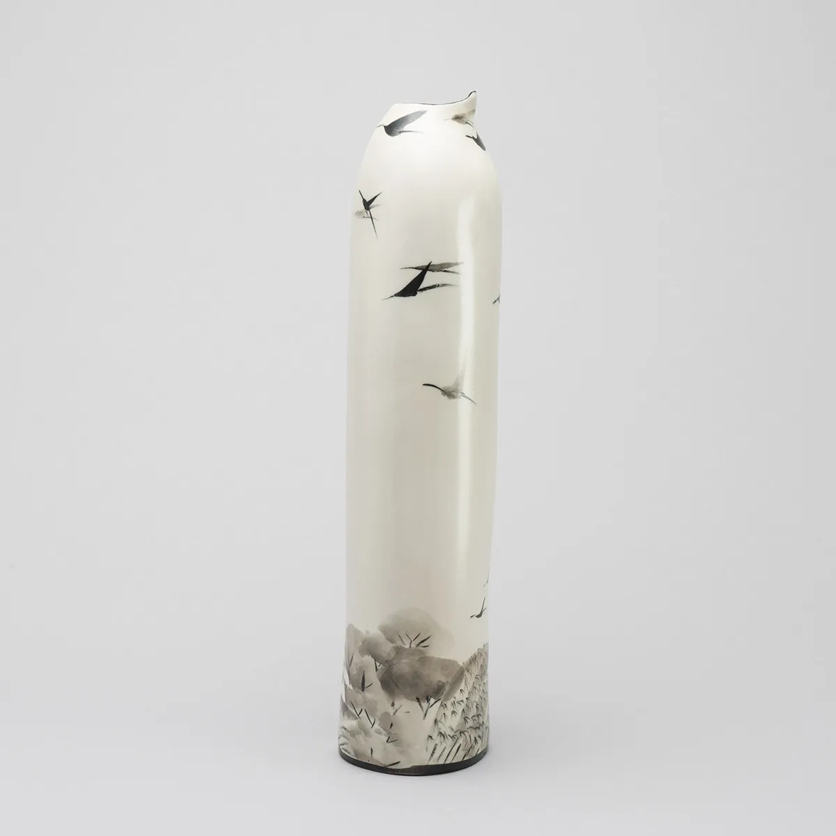 鳥の自然誌―山間