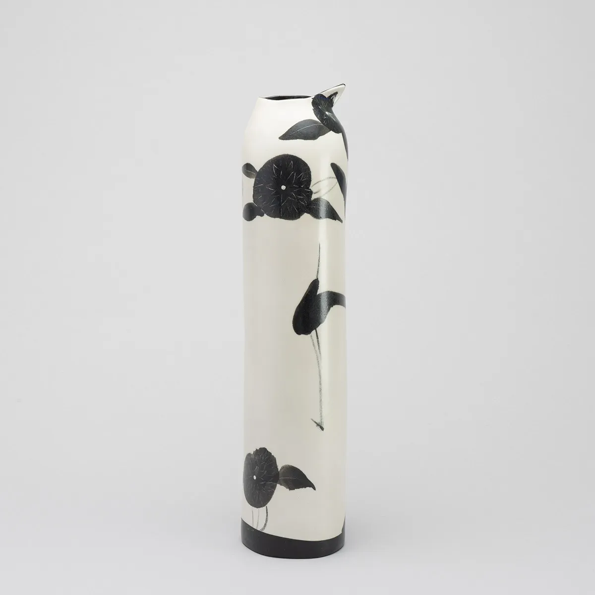 鳥の自然誌―菊