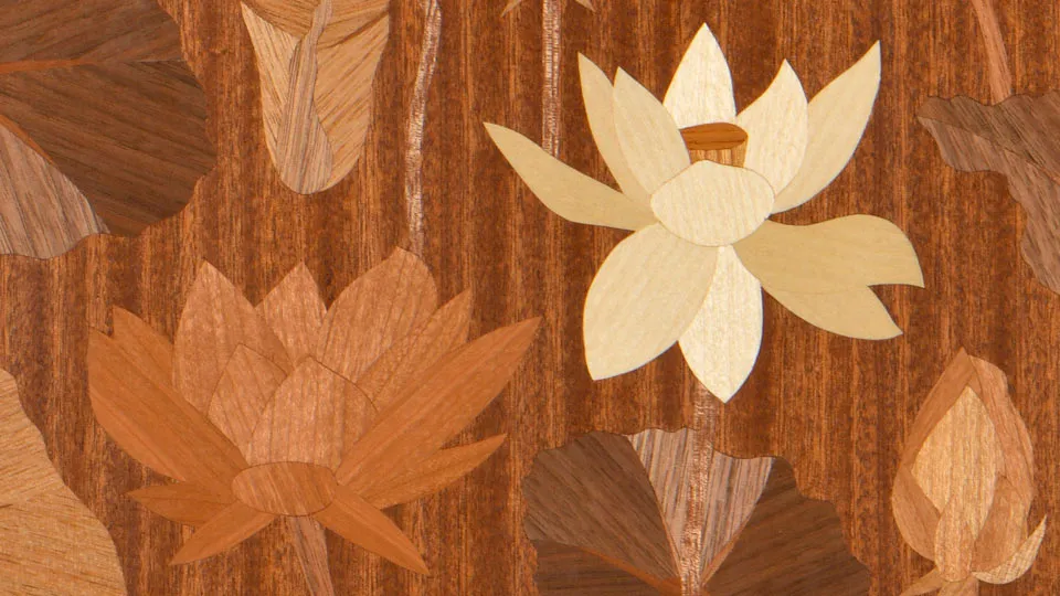 作品拡大:並ぶ紅白の蓮の花