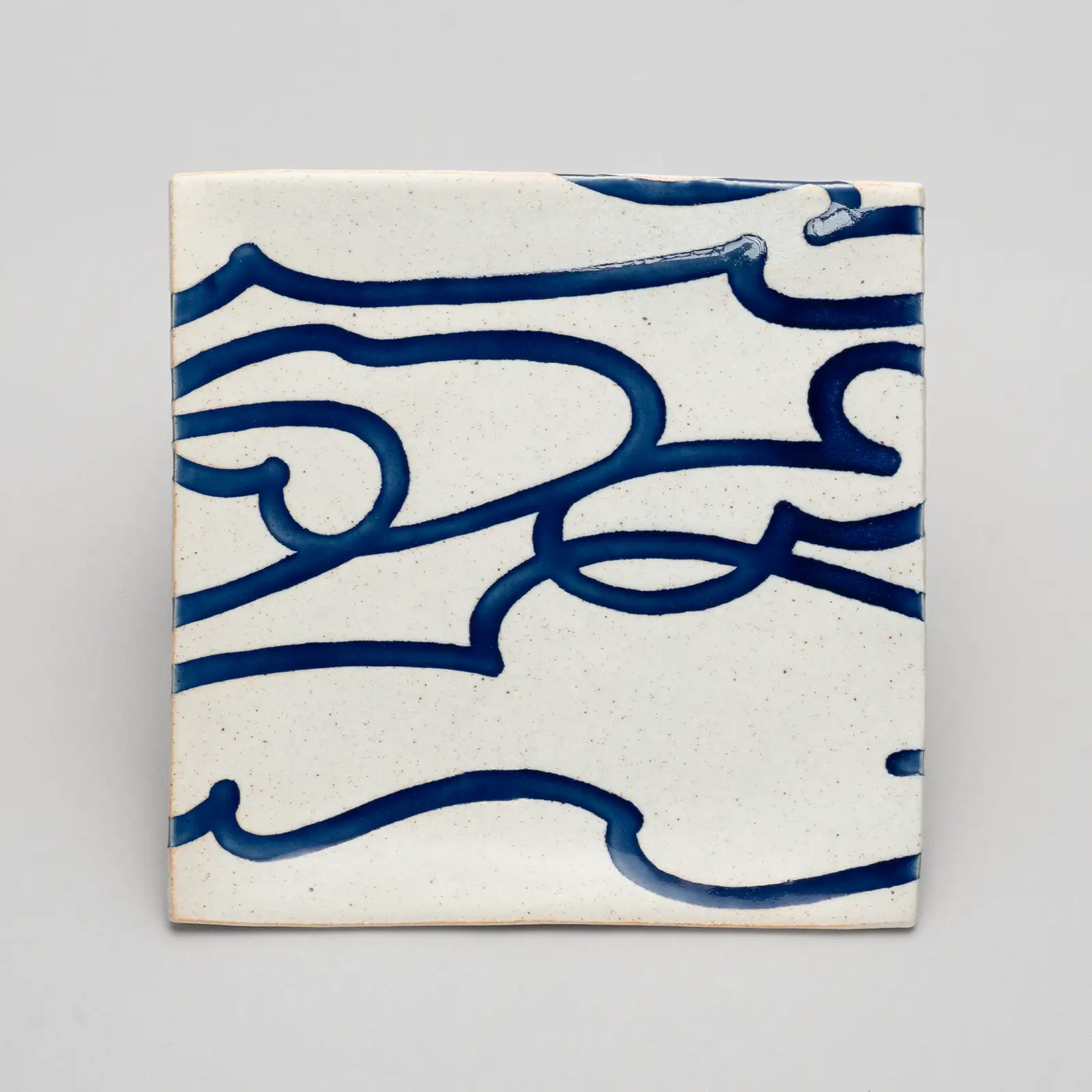 水象紋角皿 「環揺」