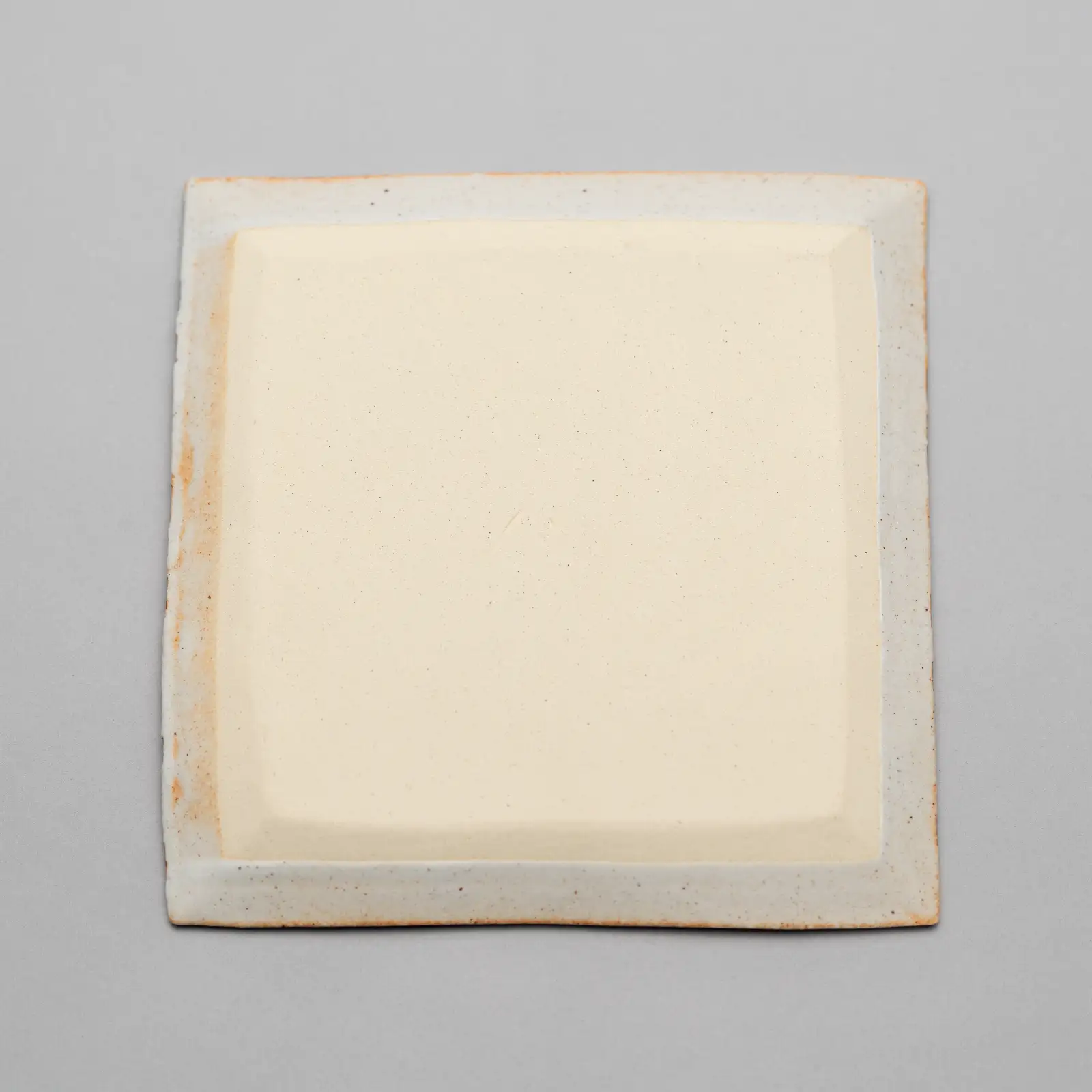 水象紋角皿 「環揺」